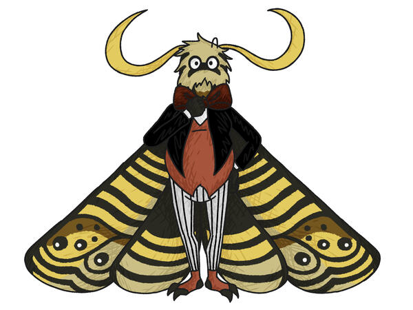 Dr. Owl