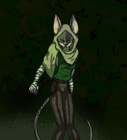 Sphynx cat rogue