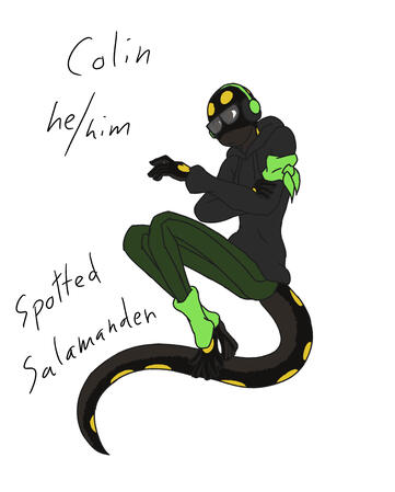 Colin, Spotted salamander